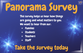  Panorama Surveys